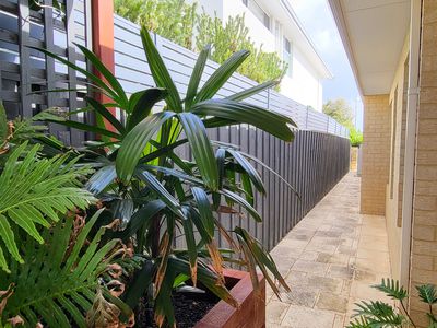 20 Sandbar Street, Yanchep