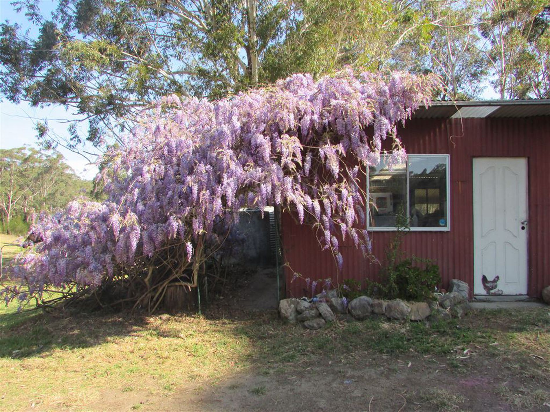 D3380 Princes Highway, Jerrawangala