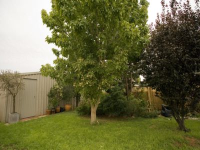 50 Collins Street, Kalgoorlie