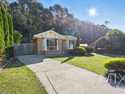 98A Montrose Road, Montrose