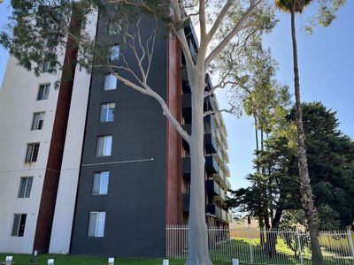 14/12 Tenth Avenue, Maylands