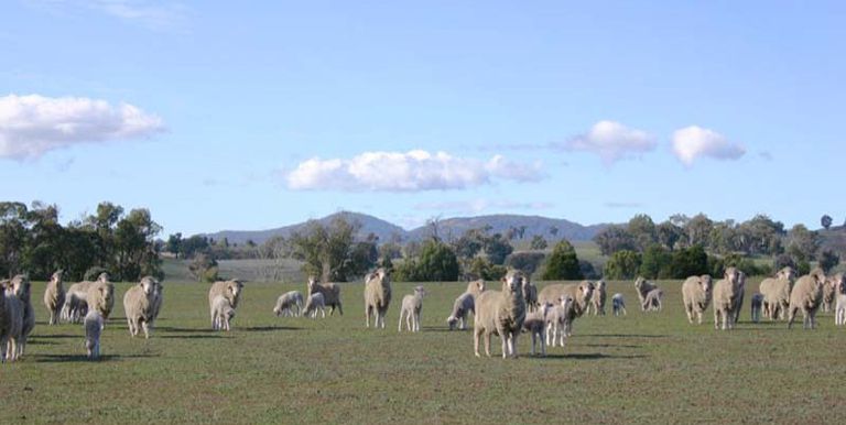 Strathbogie