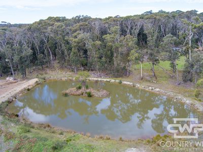 106 Warra Forest Road, Mount Mitchell
