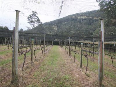 200 Green Valley Road, Kangaroo Valley