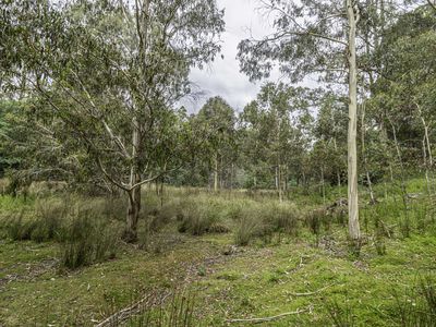 Lot 2, Fyfes Road, Mountain River