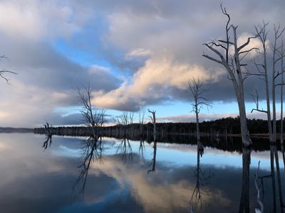 Lot 1, 'Wilderness Waters Estate' Tea Tree Bay Road, Wilburville