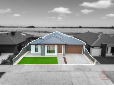 31 Fawcett Road, Lucas