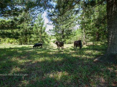 357 Stony Chute Road, Nimbin