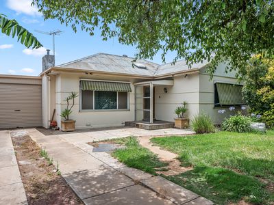 12 Milton Avenue, Clearview