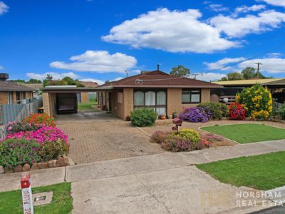17 Schwarz Avenue, Horsham