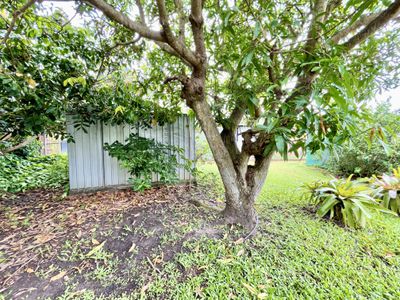 6 Glen Court, Point Vernon