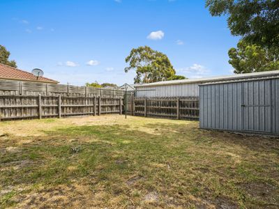 31 Fernwren Pl, Carrum Downs