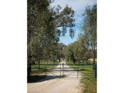 Wodonga