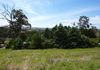 2 Mcardle Street, Molong