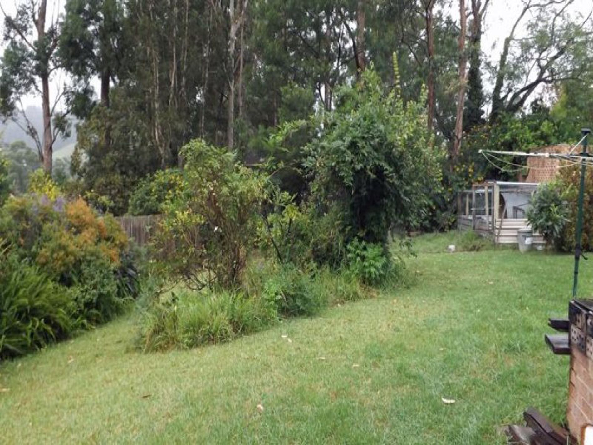 8 Acacia Street, Fishermans Paradise