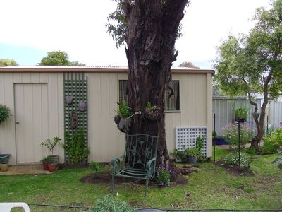 9 Lyons Road, Sussex Inlet