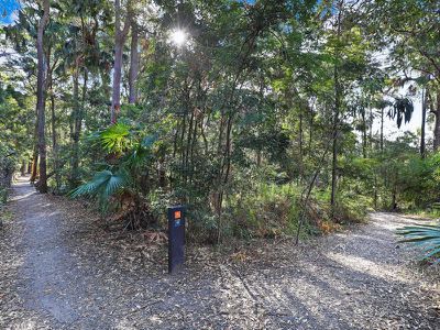 15 Tranquil Place, Alexandra Headland