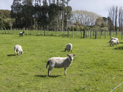 225 Waitohu Valley Road, Otaki