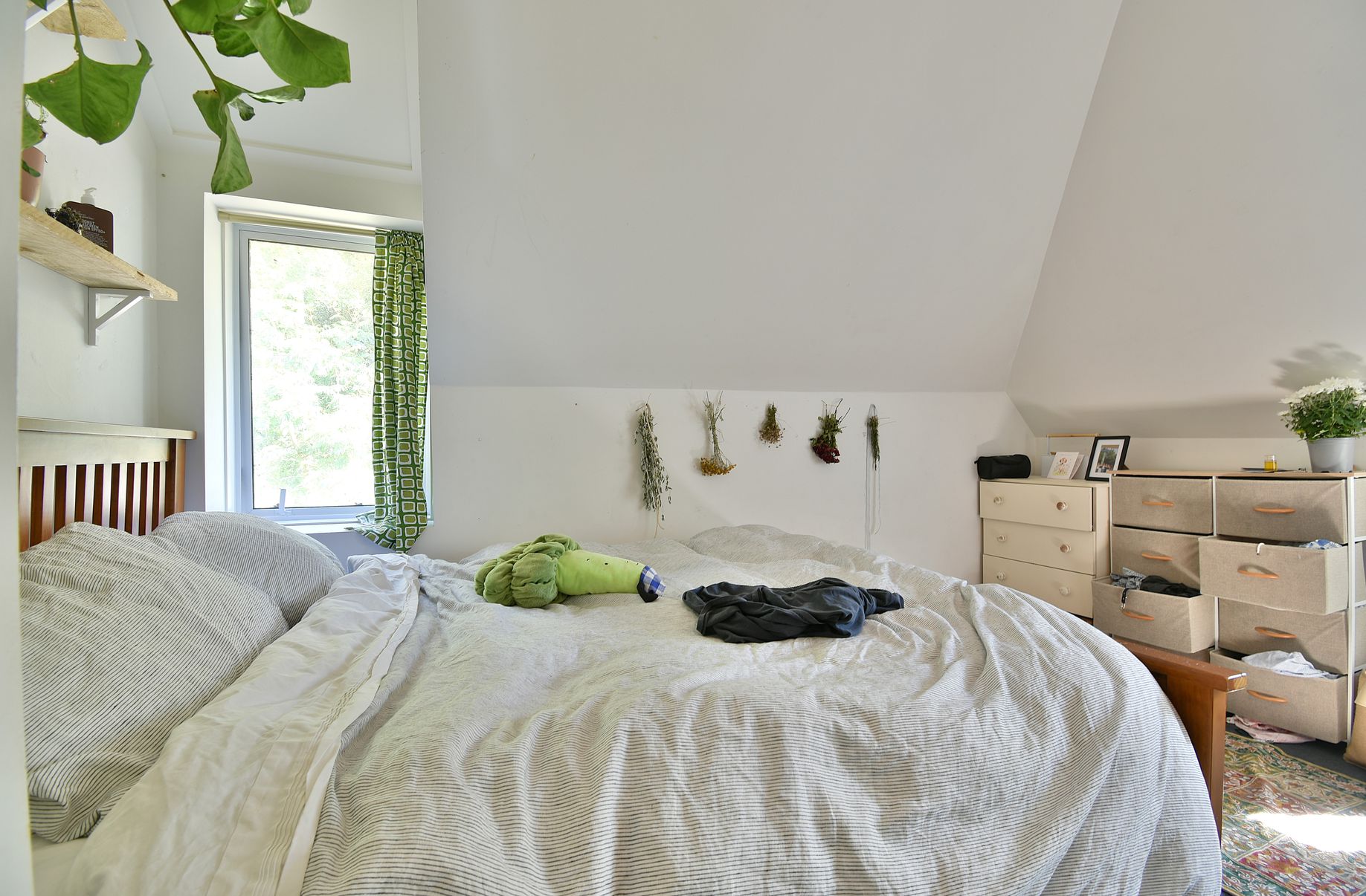 26 Norfolk Street, Saint Clair