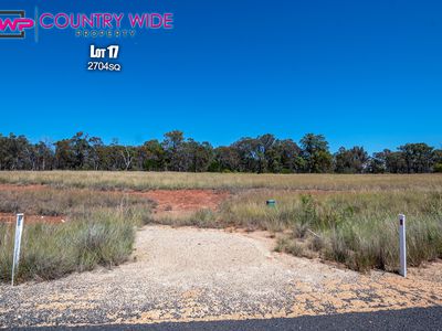 17 Marshall Way, Emmaville