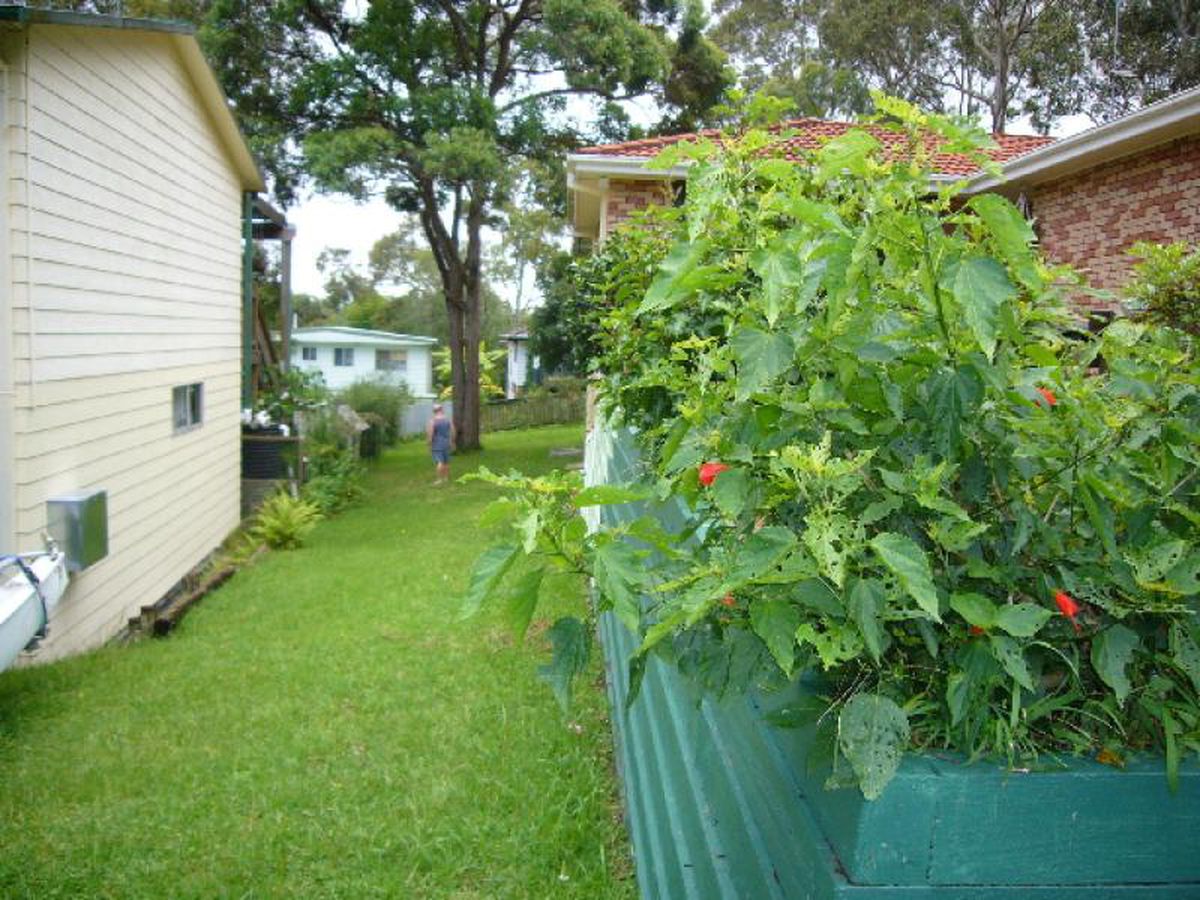 72 Dean Parade, Lemon Tree Passage, Lemon Tree Passage - Thumbnail 7