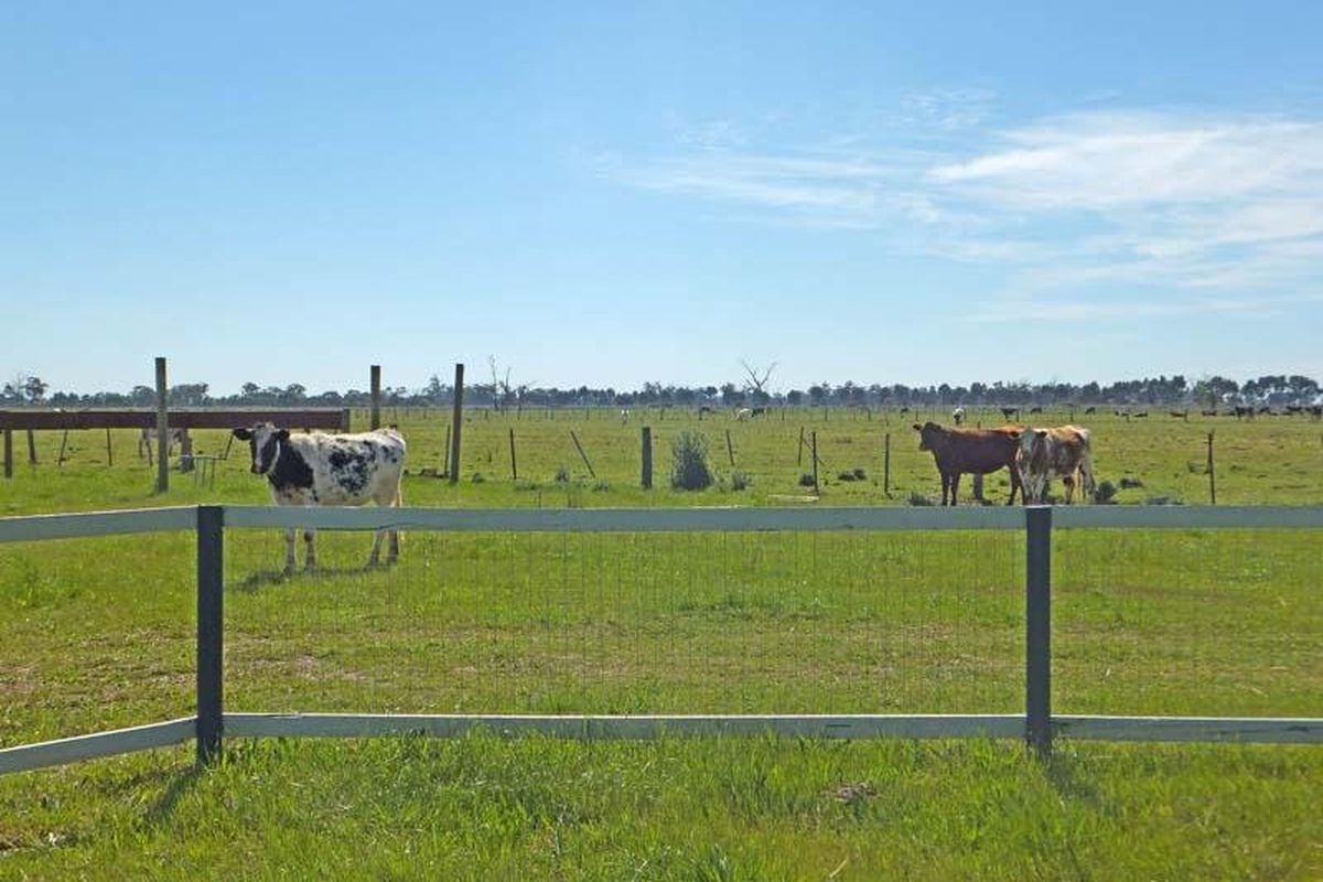 340 Matheson Road, Kyabram