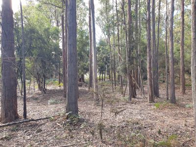 Lot 2 Huon Highway , Dover