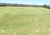Lot 101 Strathmore Lane, Molong