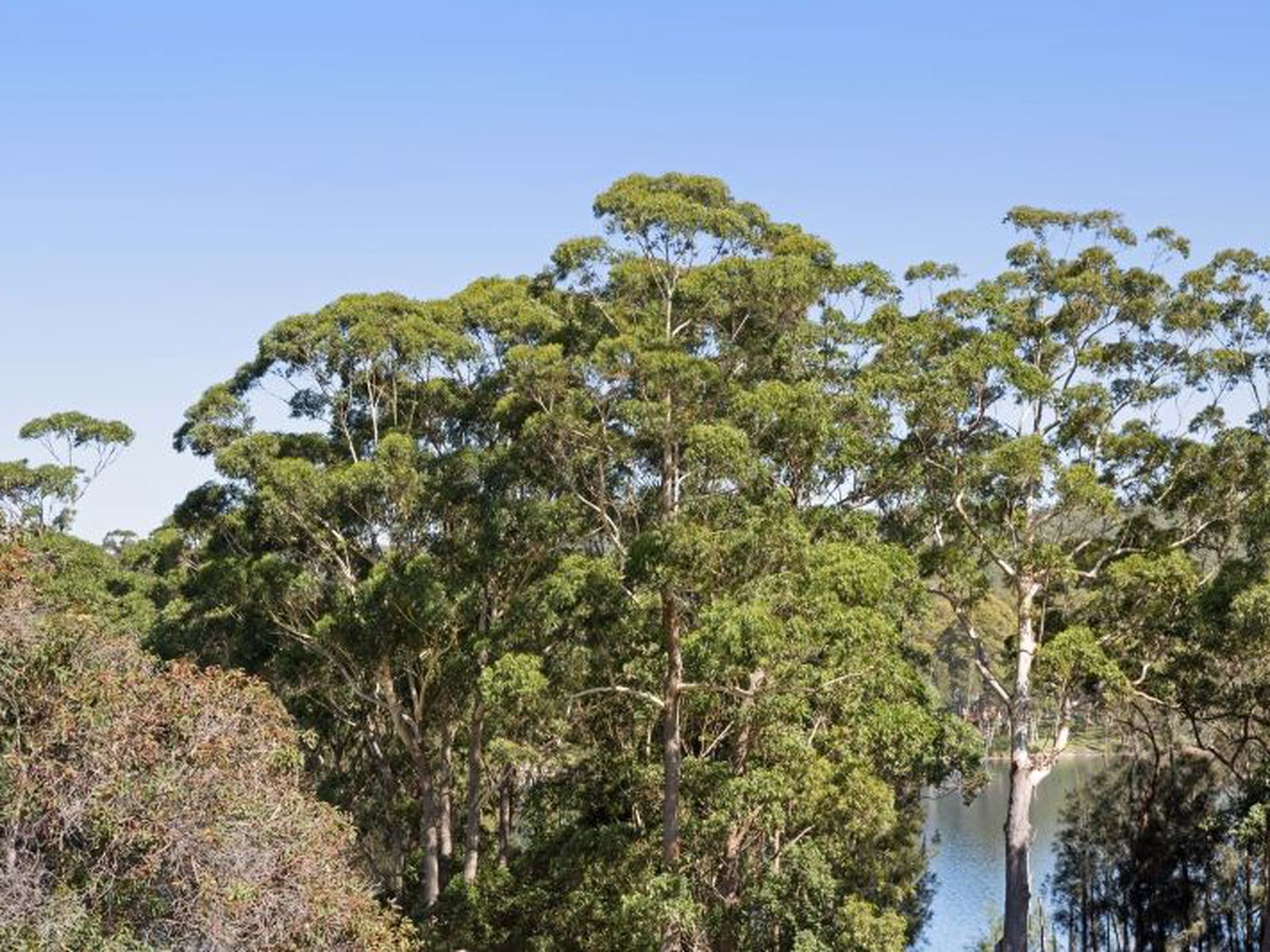 52 Edward Avenue, Kings Point