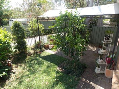 Ourimbah