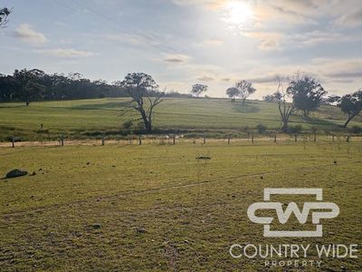 Lot 1, - Emmaville Rd, Emmaville