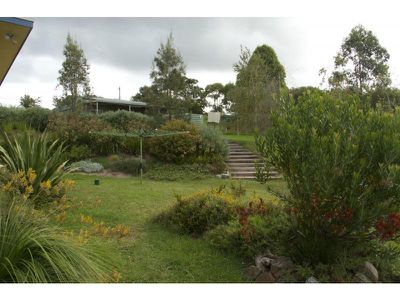 402 Yowrie Road, Cobargo