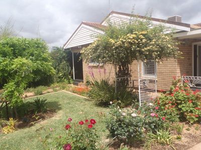 60 Crown Street, Dubbo