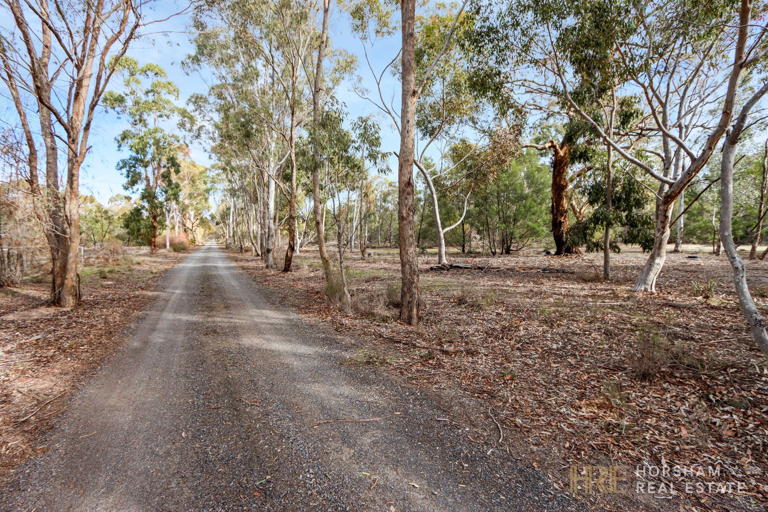 542 Roses Gap Road, Dadswells Bridge