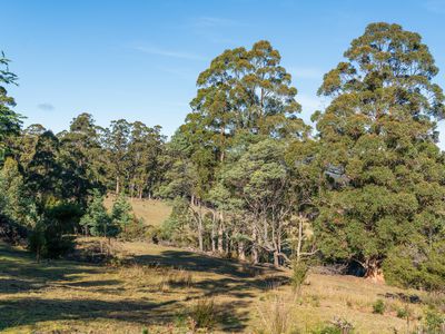 Lot 2 Sledge Hill Road , Glendevie