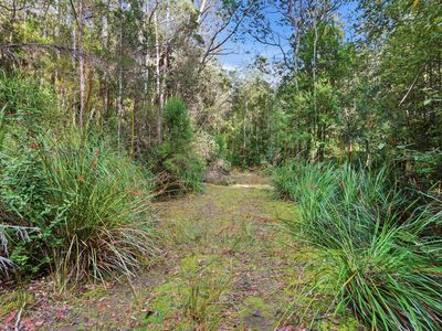 111 Underwoods Road, Nicholls Rivulet