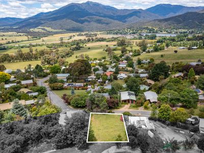 17 Buckland Street, Tawonga South