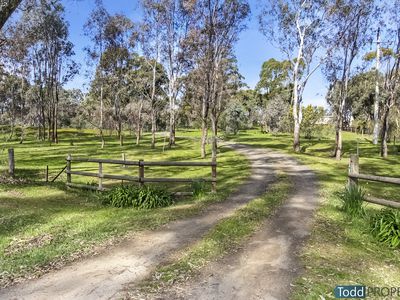 54 Heathcote-Nagambie Road, Heathcote