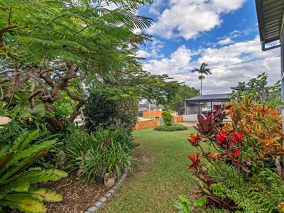 59 Wilclarke Street, Upper Mount Gravatt