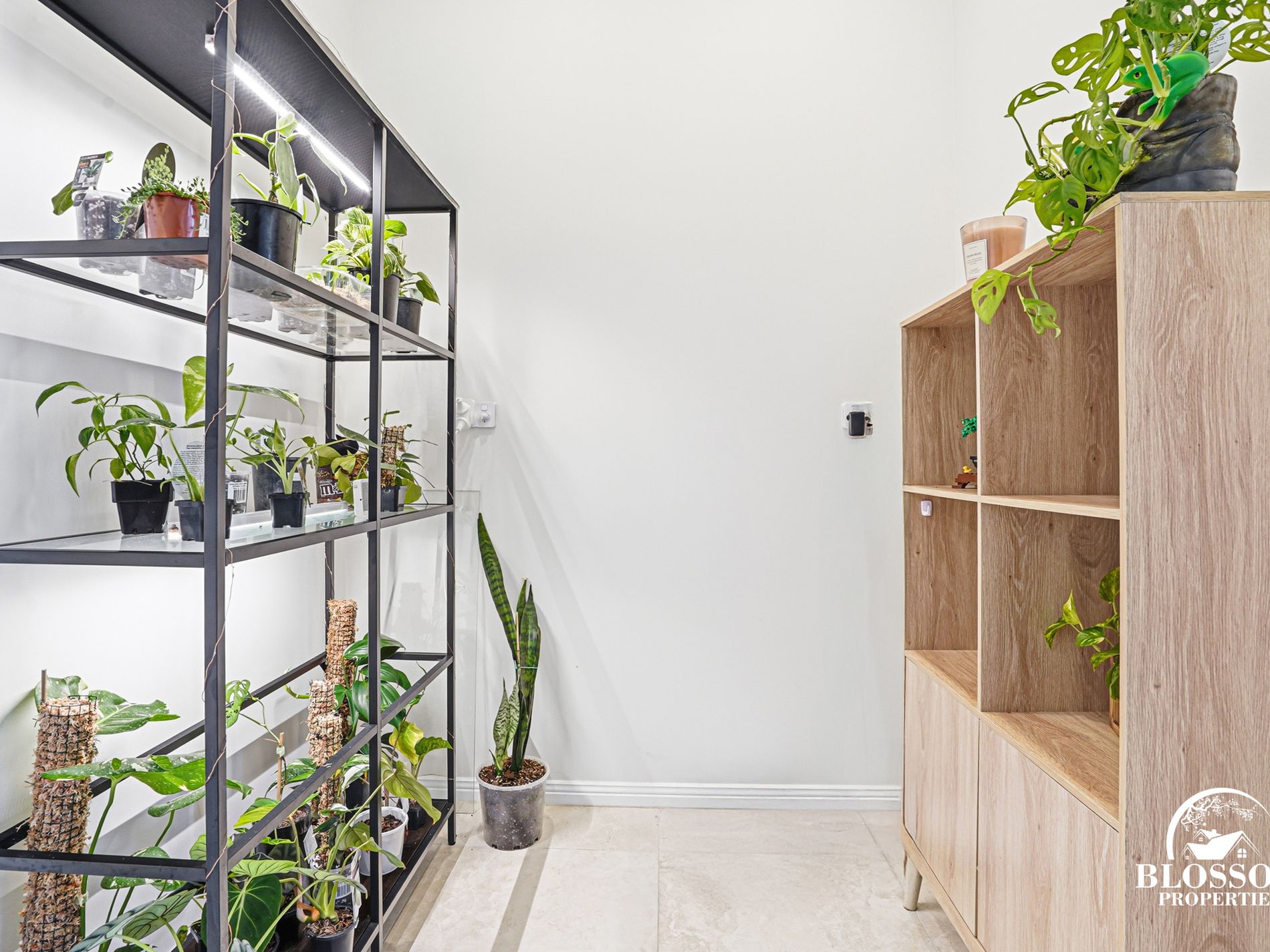 6 Boab Street , Marsden Park