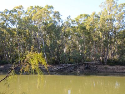 Lot 42, Riverview Drive, Barham