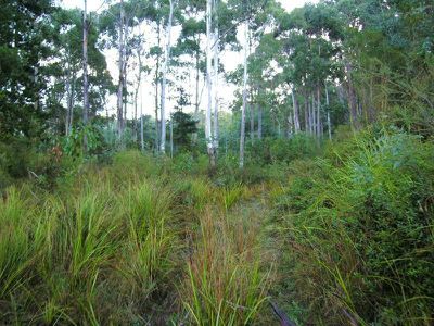 Evans Road, Port Huon