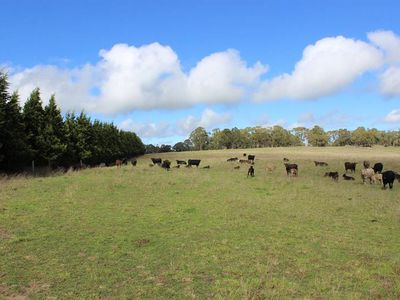 621 Jerrys Meadow Road, Tarana