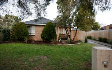 55 Mansfield Street, Berwick