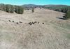 1173 Cargo Road, Lidster