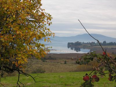Huon Highway, Franklin
