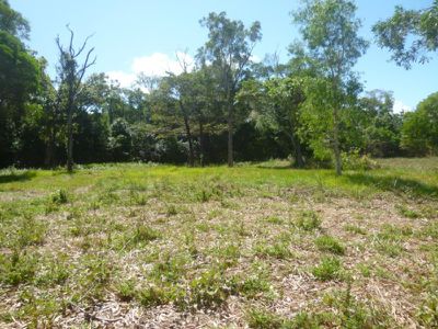 Lot 15, Slaughter Yard Road, Cooktown