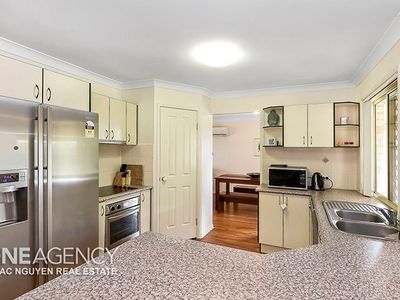 19 Colville Ct, Springfield
