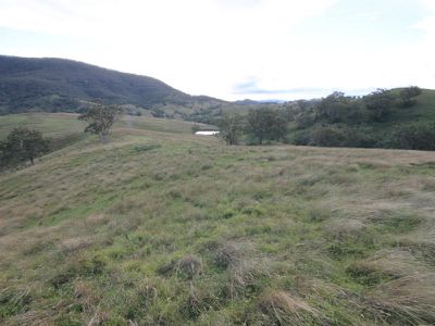Rouchel Gap Road, Mccullys Gap