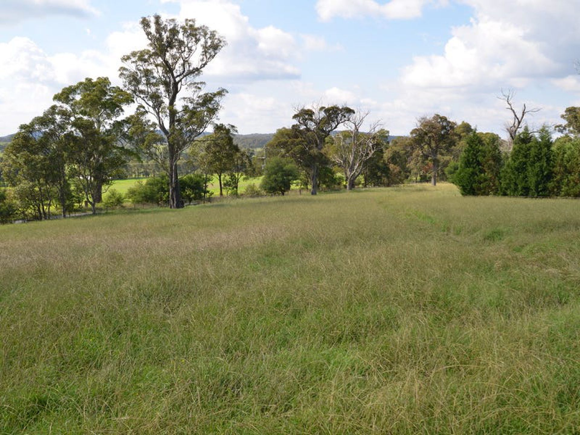 Lot 11, 291 Wombeyan Caves Road, Mittagong, Mittagong - Thumbnail 3